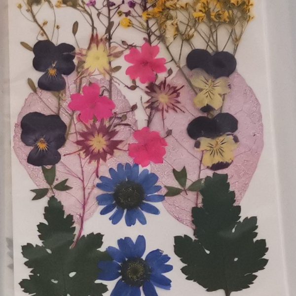 Osušeno cvijeće "Višebojni" buket 9 vrsta prešanog cvijeća