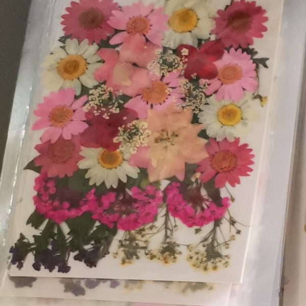 Osušeno cvijeće "Rosa" buket 9 vrsta prešanog cvijeća