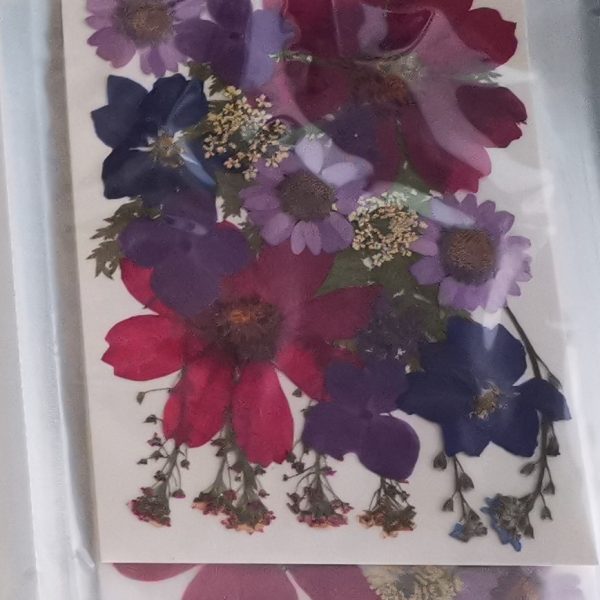 Osušeno cvijeće "Viola" buket 9 vrsta prešanog cvijeća