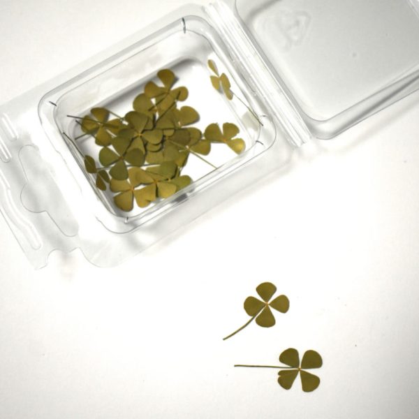 Osušeni cvjetovi djeteline 12 kom.